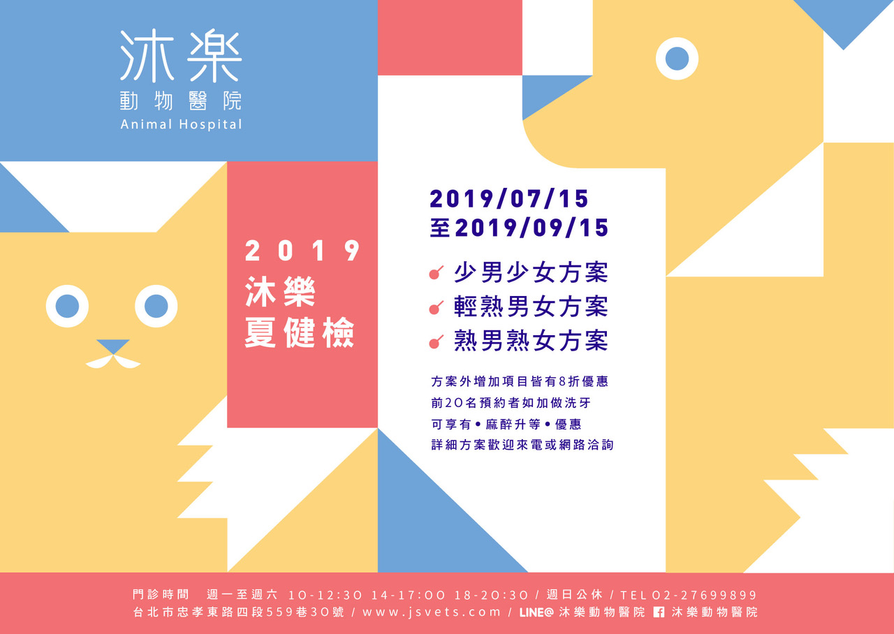 2019 沐樂貓咪夏日健康檢查